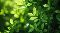 多米体育app下载-包含AC米兰豪取连胜备战法甲西甲赛前再迎强敌，连对手都承认：风云突变皇家社会冲刺阶段状态回暖的词条